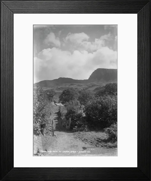 Framed Print : The Path to Cader Idris Framed Print : The Path to Cader Idris