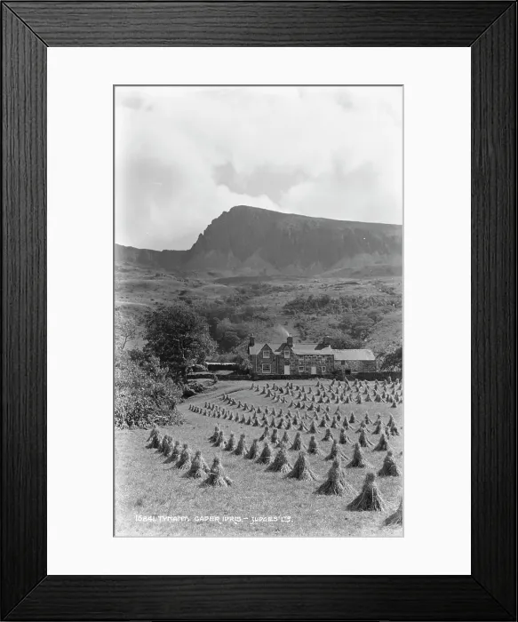 Framed Print : Cader Idris Farm
