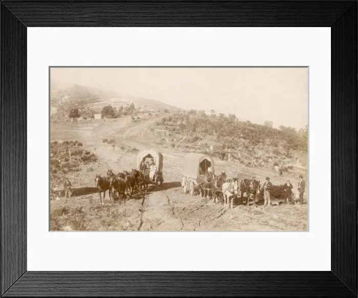 Framed Print : Wagons and horses Framed Print : Wagons and horses