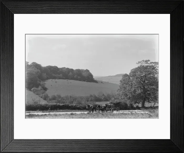 Framed Print : The Downs, Near Chichester