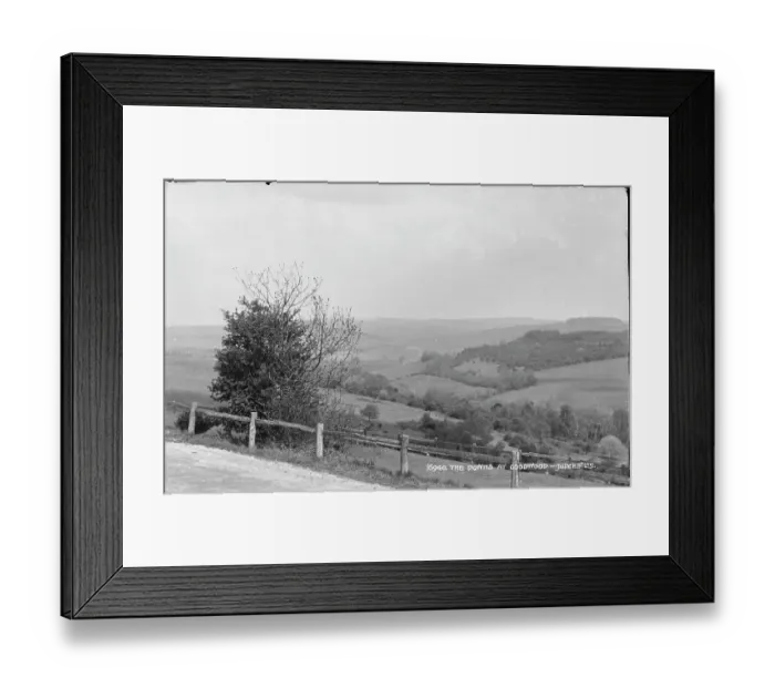 Framed Print : The Doyns at Goodwood Framed Print : The Doyns at Goodwood