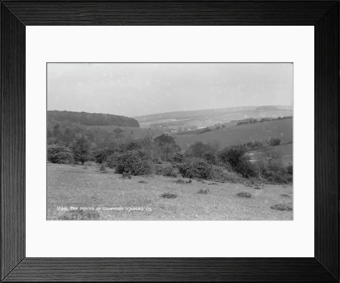 Framed Print : The Downs at Goodwood Framed Print : The Downs at Goodwood