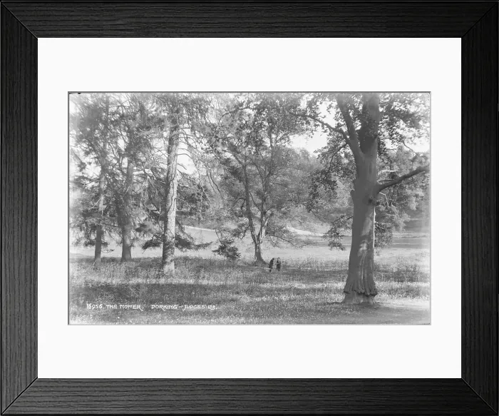 Framed Print : The Nomer, Dorking Framed Print : The Nomer, Dorking