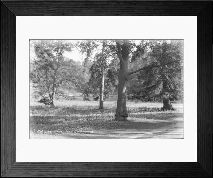 Framed Print : The Mower. This image captures a serene landscape featuring several trees in a grassy area Framed Print : The Mower. This image captures a serene landscape featuring several trees in a grassy area