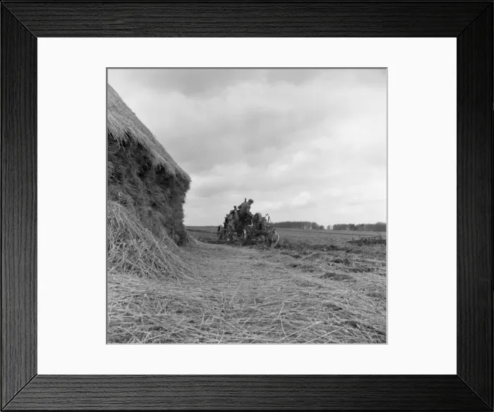 Framed Print : Ploughing, England 1954 Framed Print : Ploughing, England 1954