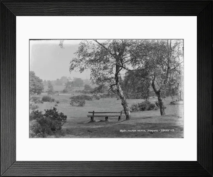Framed Print : Tranquil Scene at Milton Heath Framed Print : Tranquil Scene at Milton Heath