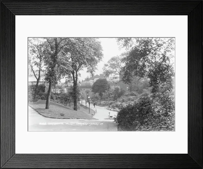 Framed Print : Valley Gardens in Harrogate Framed Print : Valley Gardens in Harrogate