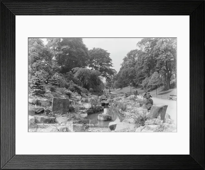 Framed Print : Valley Gardens in Harrogate Framed Print : Valley Gardens in Harrogate