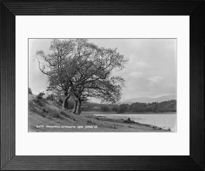 Framed Print : Esthwaite Lake in Hawkshead Framed Print : Esthwaite Lake in Hawkshead