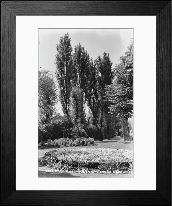 Framed Print : Canbury Gardens in Kingston upon Thames Framed Print : Canbury Gardens in Kingston upon Thames