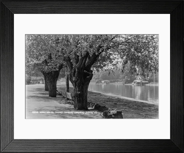 Framed Print : Canbury Gardens by the River Framed Print : Canbury Gardens by the River
