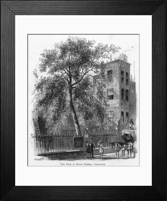 Framed Print : Wood Street Tree Framed Print : Wood Street Tree