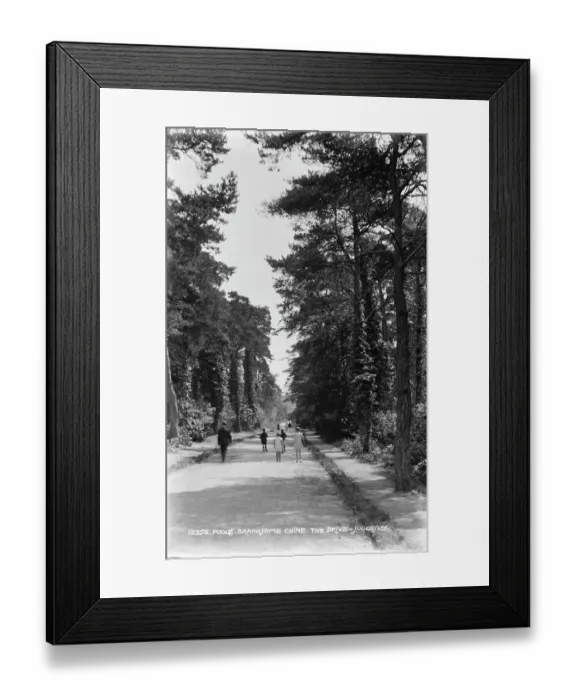 Framed Print : Branksome Chine Drive Framed Print : Branksome Chine Drive