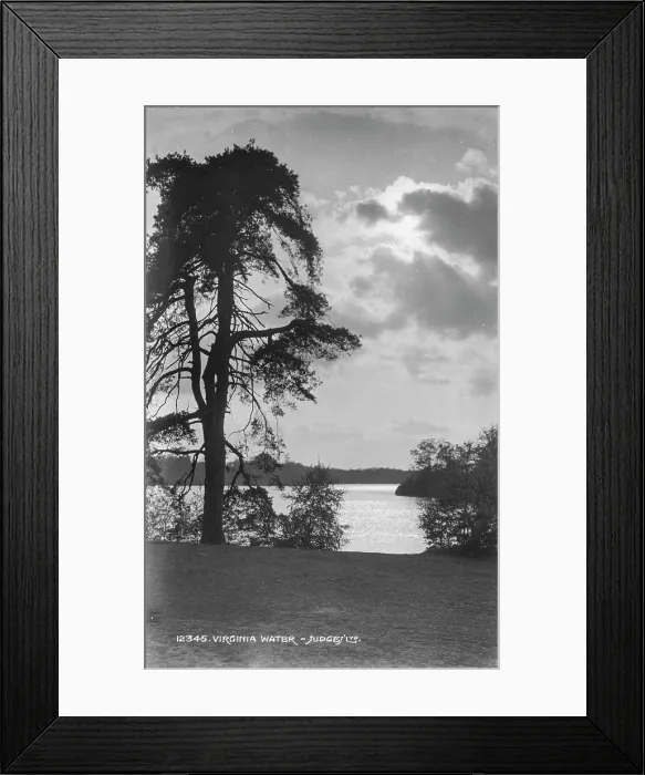 Framed Print : Scenic View of Virginia Water Framed Print : Scenic View of Virginia Water