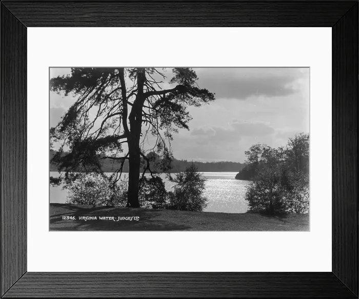 Framed Print : Tranquil Waters of Virginia Water Framed Print : Tranquil Waters of Virginia Water