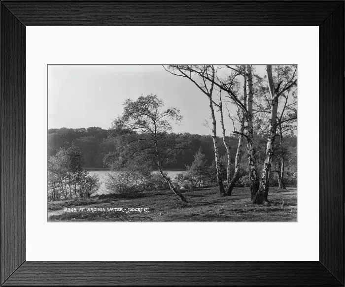 Framed Print : Tranquil Scene at Virginia Water Framed Print : Tranquil Scene at Virginia Water