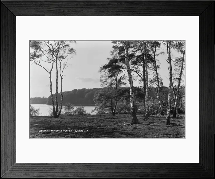 Framed Print : Tranquil Scene at Virginia Water Framed Print : Tranquil Scene at Virginia Water
