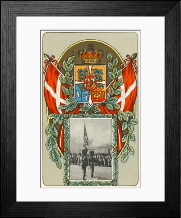 Framed Print : The arms and insignia of Denmark Framed Print : The arms and insignia of Denmark