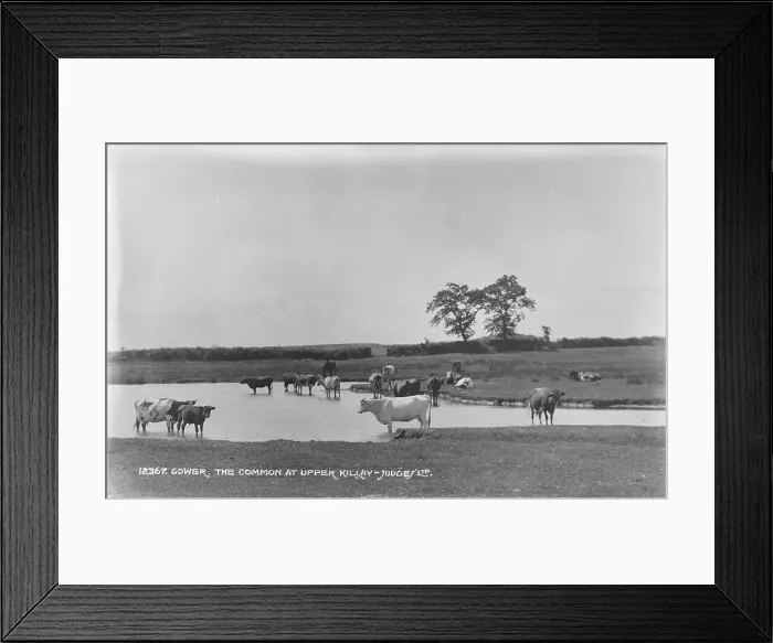 Framed Print : The Common at Upper Killay Framed Print : The Common at Upper Killay