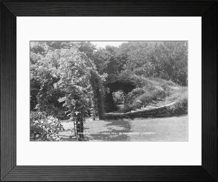 Framed Print : In the Garden Framed Print : In the Garden