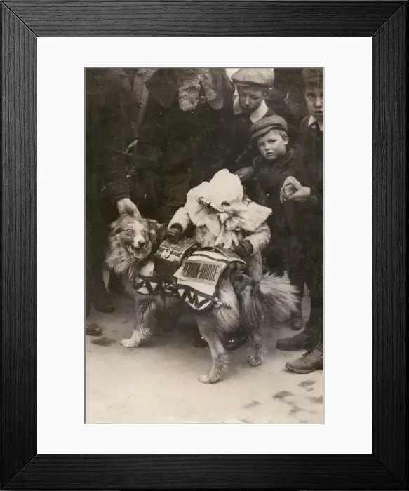 Framed Print : Collecting charitable donations and votes Framed Print : Collecting charitable donations and votes