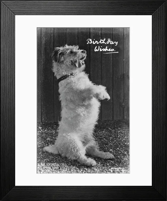 Framed Print : Birthday Wishes Framed Print : Birthday Wishes
