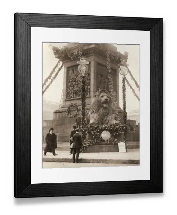 Framed Print : Trafalgar Square lion Framed Print : Trafalgar Square lion