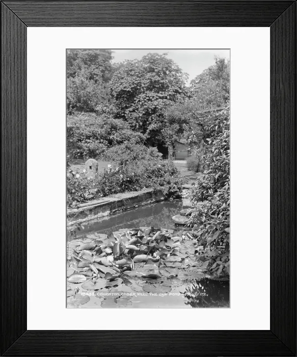 Framed Print : The Lily Pond at Cober Hill Framed Print : The Lily Pond at Cober Hill