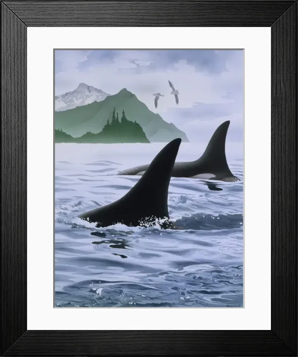 Framed Print : Two whales in the sea, with birds and mountains Framed Print : Two whales in the sea, with birds and mountains