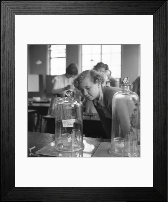 Framed Print : Education, girls, science Framed Print : Education, girls, science