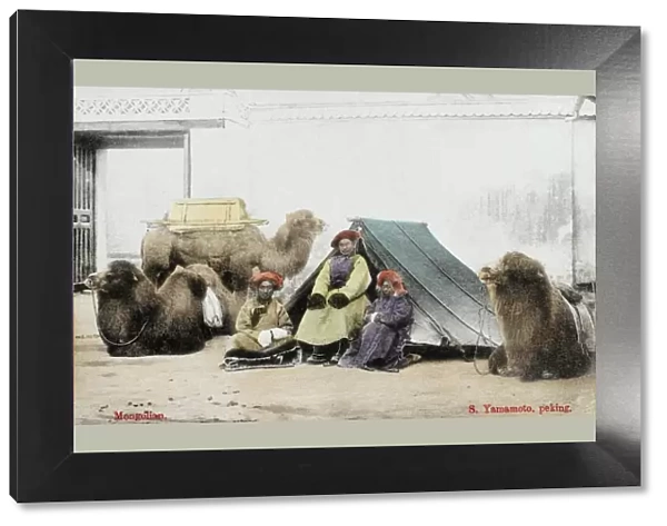 Mongolian Traders in China with camels
