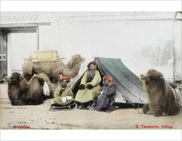 Mongolian Traders in China with camels