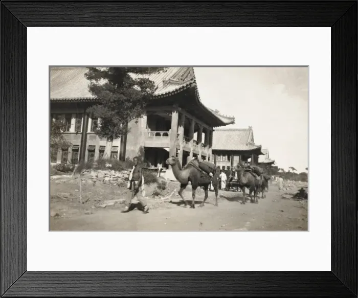 Framed Print : Foreign houses - Beijing, China Framed Print : Foreign houses - Beijing, China