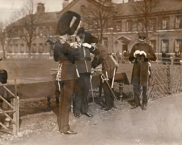 Irish Guards with shamrock