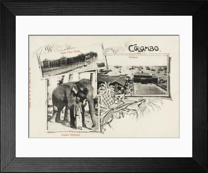 Framed Print : Colombo - Sri Lanka Framed Print : Colombo - Sri Lanka