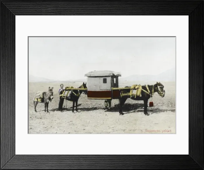 Framed Print : Chinese covered litter Framed Print : Chinese covered litter