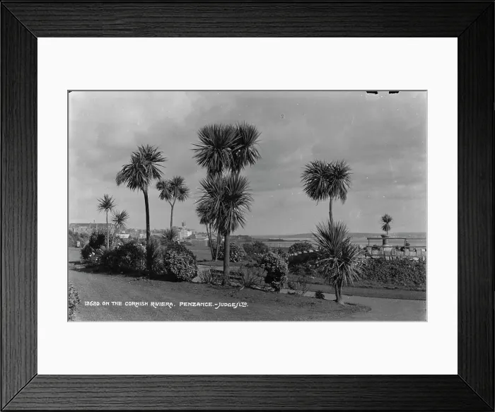 Framed Print : On the Cornish Riviera Framed Print : On the Cornish Riviera