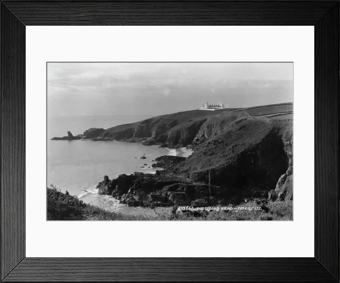 Framed Print : The Lizard Head Framed Print : The Lizard Head
