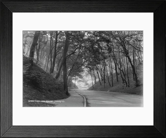 Framed Print : The Ravine Framed Print : The Ravine