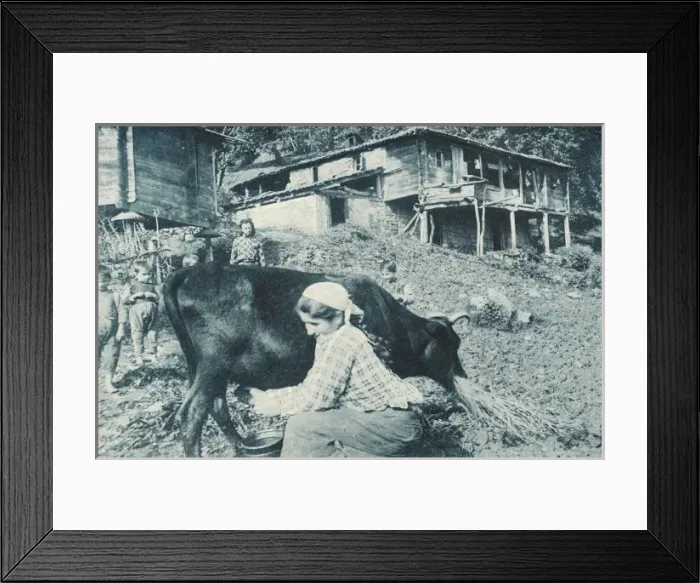 Framed Print : Trabzon, Turkey - Country Life Framed Print : Trabzon, Turkey - Country Life