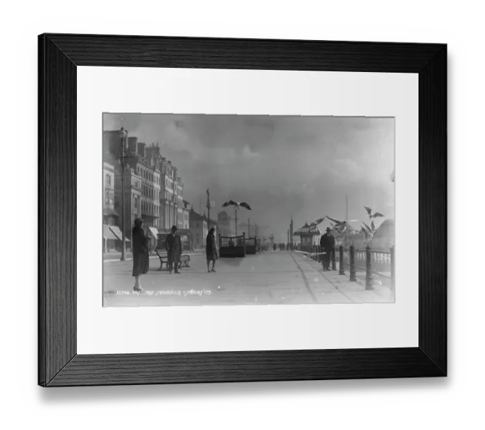 Framed Print : Seagulls at Hastings Seafront Framed Print : Seagulls at Hastings Seafront