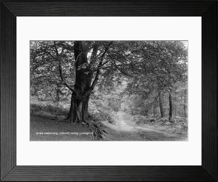 Framed Print : Chevet Woods Pathway Framed Print : Chevet Woods Pathway