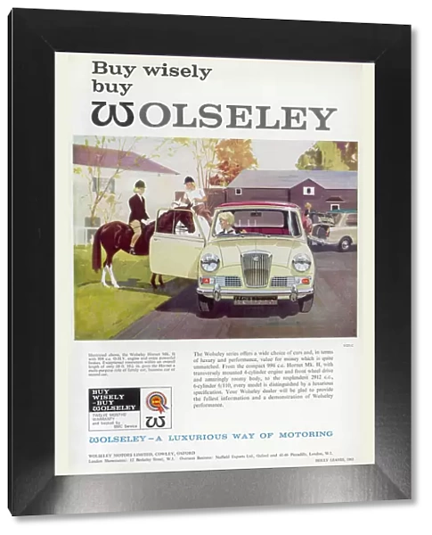 Wolseley car advertisement