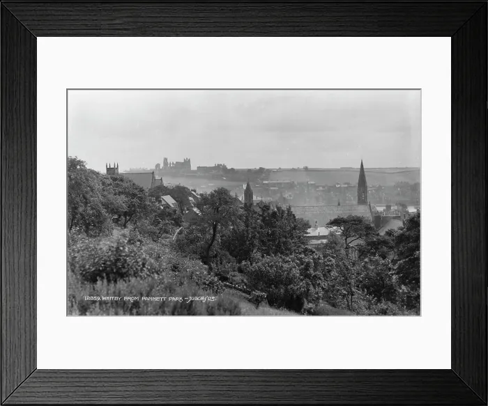 Framed Print : Whitby from Pannett Park Framed Print : Whitby from Pannett Park