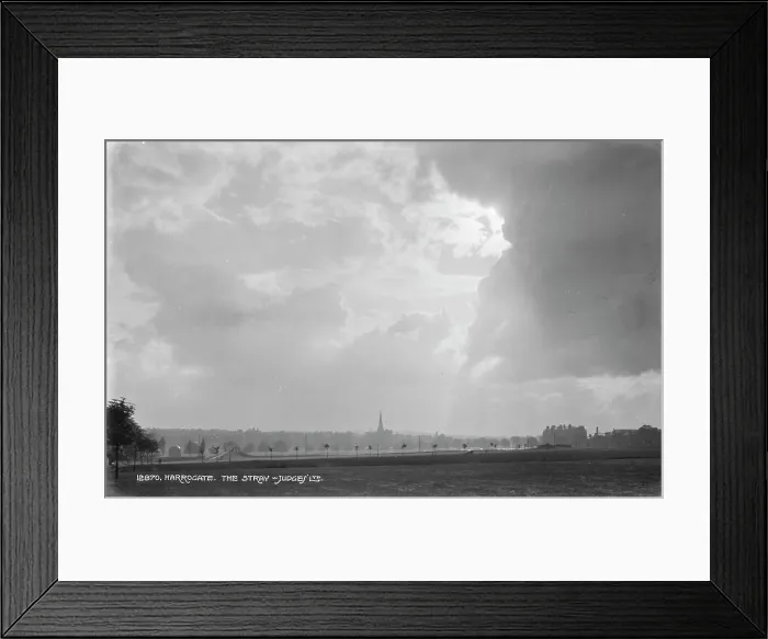 Framed Print : The Stray in Harrogate Framed Print : The Stray in Harrogate