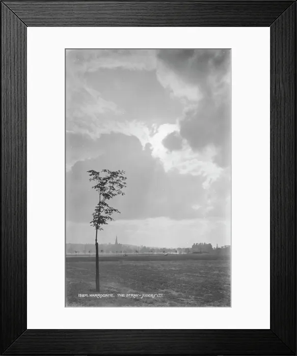 Framed Print : The Stray, Harrogate Framed Print : The Stray, Harrogate