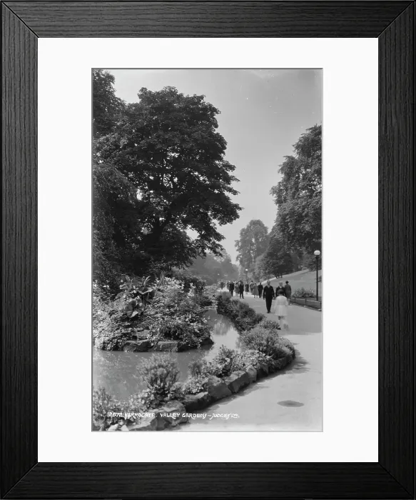 Framed Print : Stroll Through Valley Gardens Framed Print : Stroll Through Valley Gardens