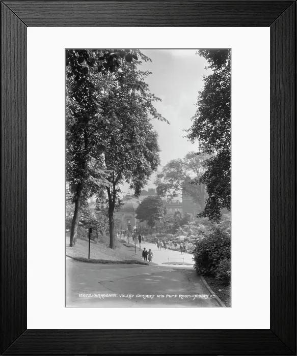 Framed Print : Valley Gardens and Pump Room Framed Print : Valley Gardens and Pump Room