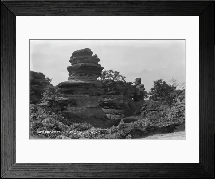Framed Print : Brimham Rocks, Turtle Rock