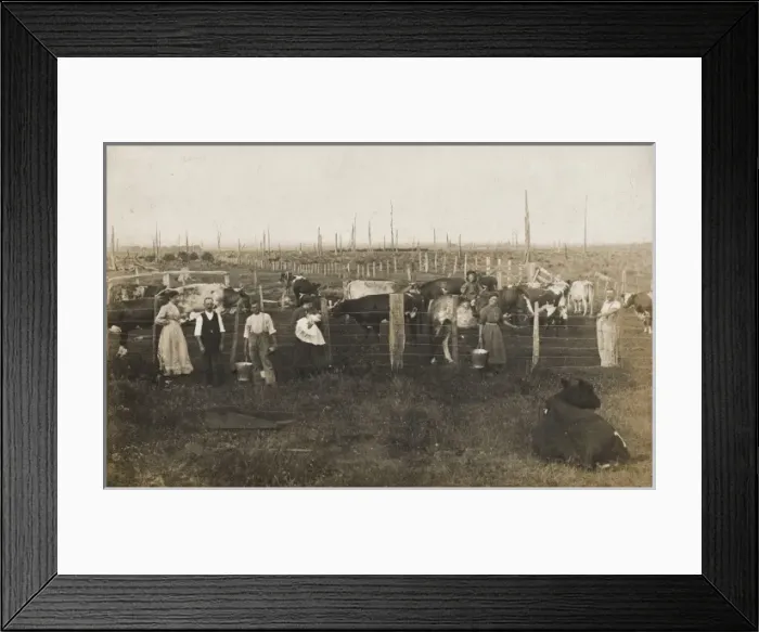 Framed Print : New Zealand Framed Print : New Zealand